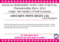 Class 9a - Amstarfx Swipe Right (AI).png